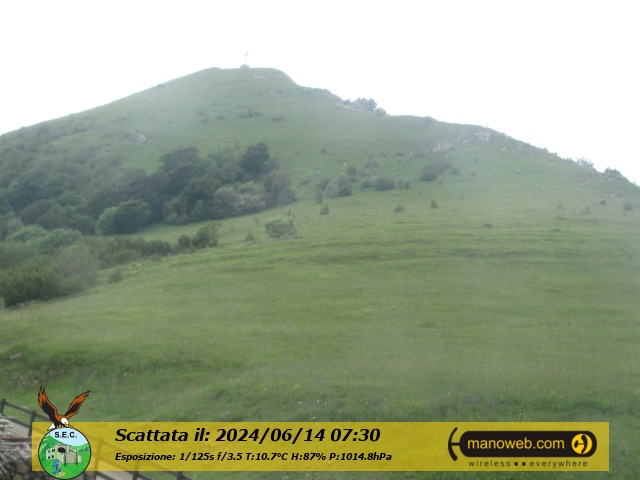 Camera C, Friday 14 June 2024 07:30