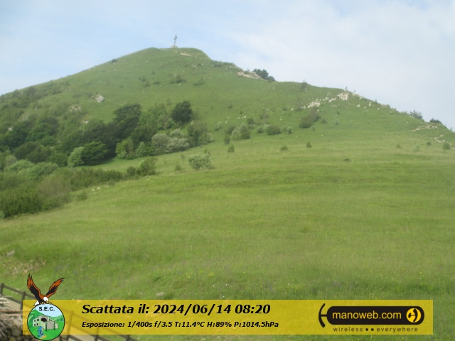 Camera C, Friday 14 June 2024 08:20