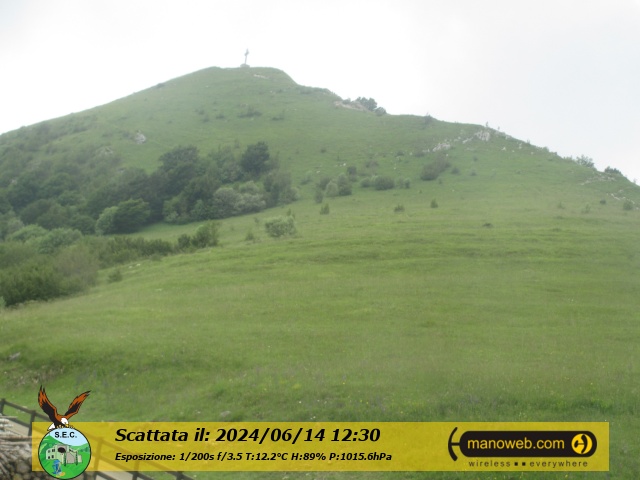 Camera C, Friday 14 June 2024 12:30