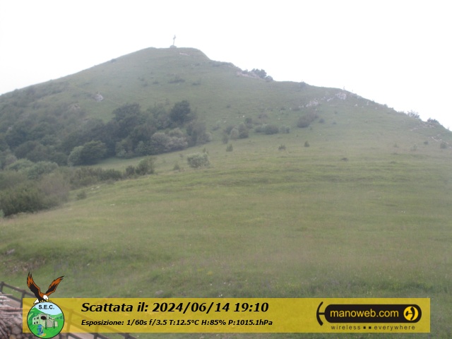 Camera C, Friday 14 June 2024 19:10