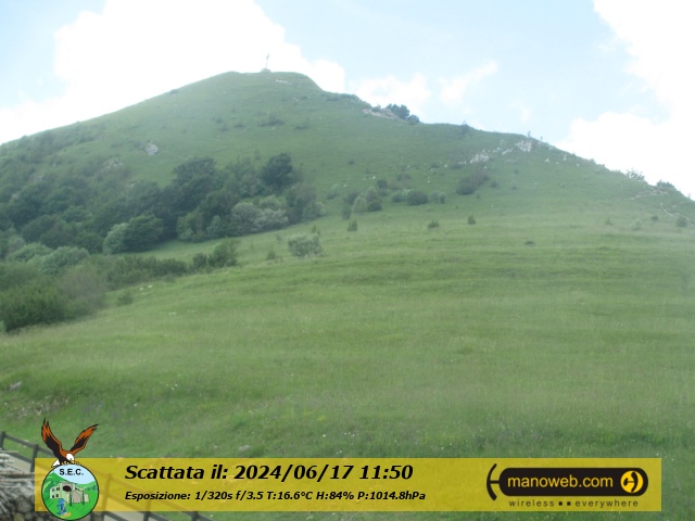 Camera C, Monday 17 June 2024 11:50
